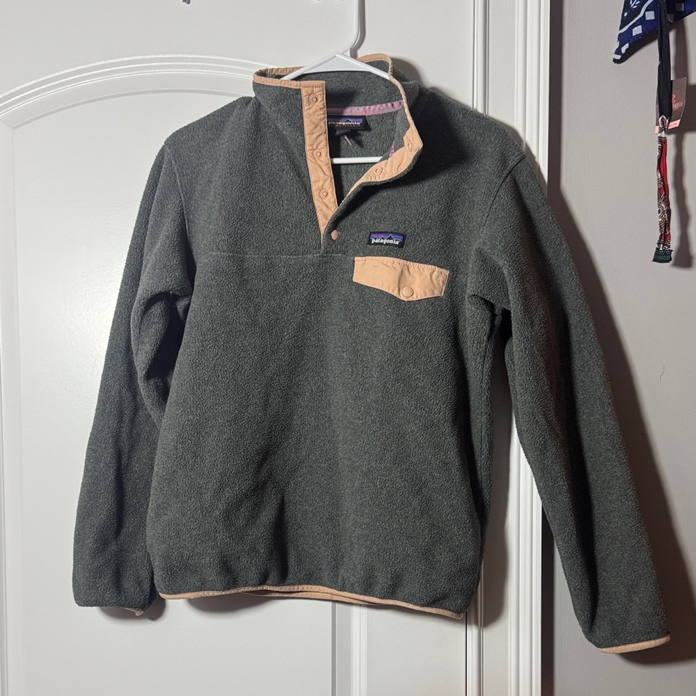 Patagonia Synchilla Snap Fleece